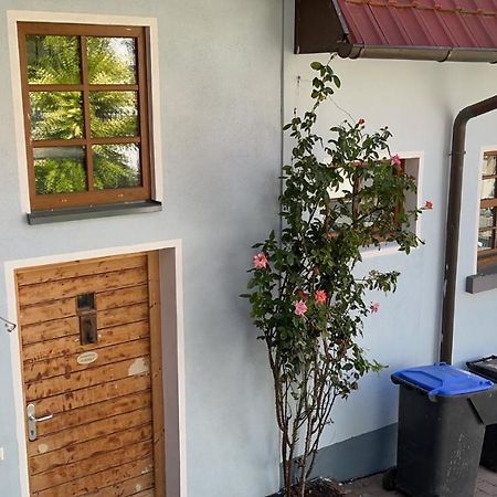 Ferienwohnung Im Bueckle Gottenheim Exteriér fotografie