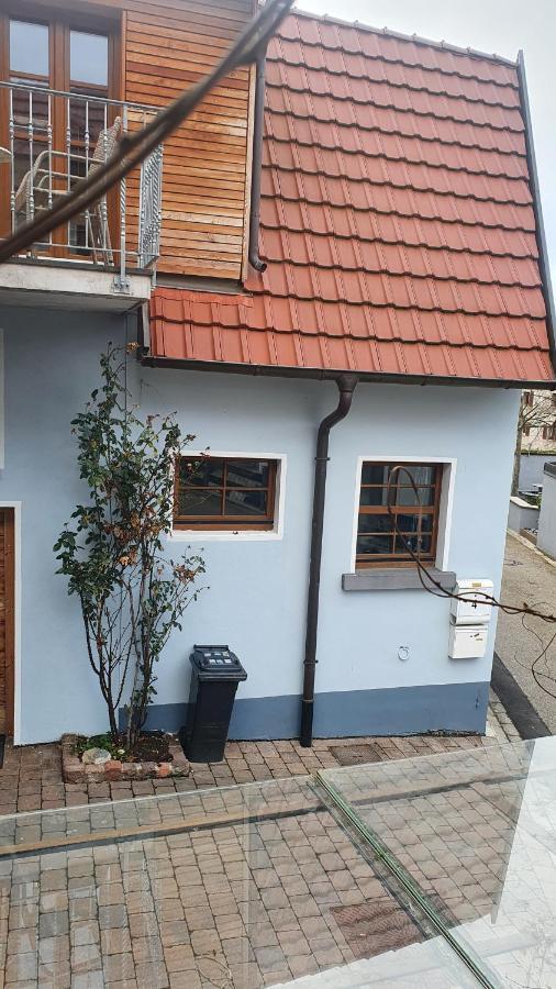 Ferienwohnung Im Bueckle Gottenheim Exteriér fotografie